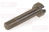 Фиксирующий болт iECHO Fix bolt